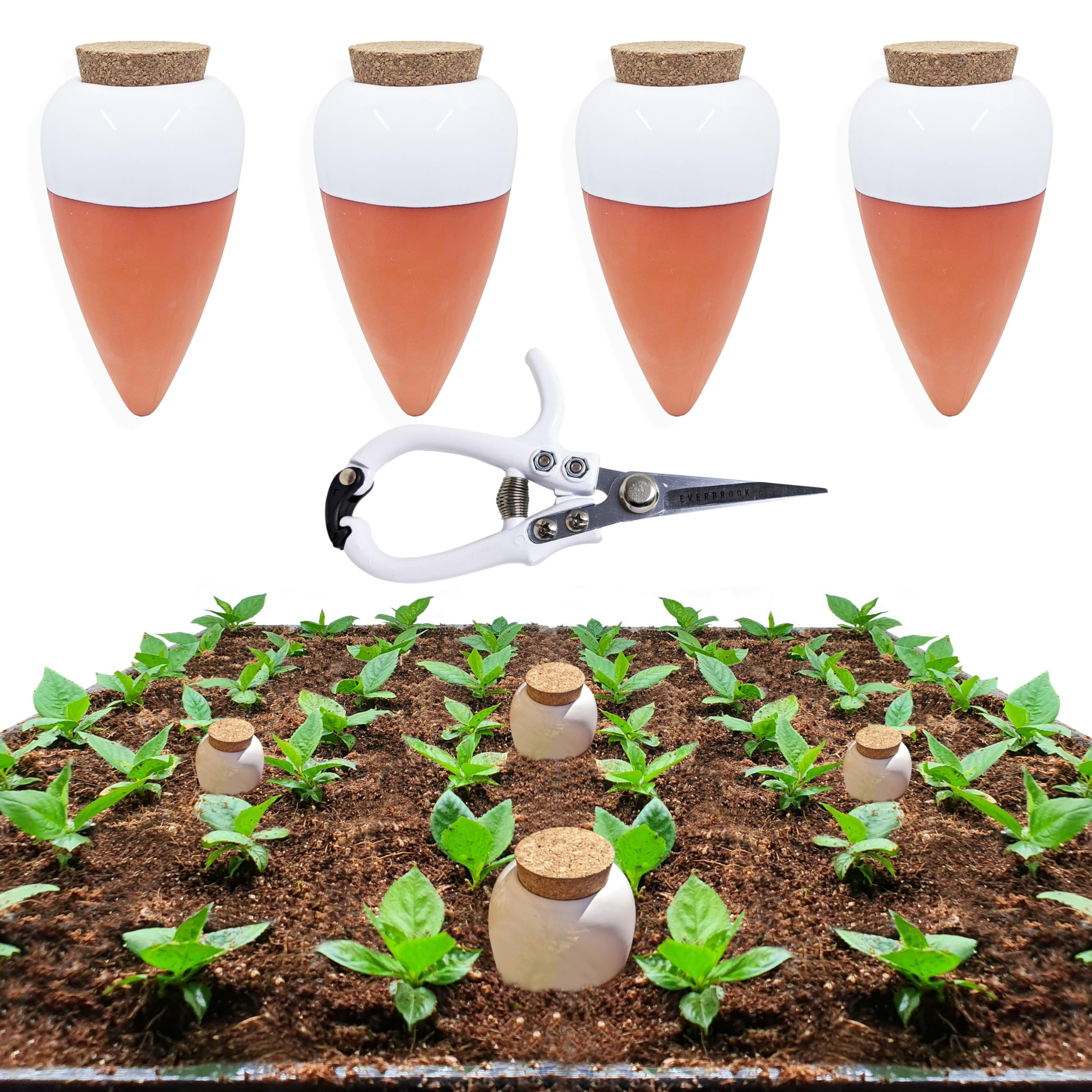 Plant Self Watering Globes - Terracotta Watering Spikes - Slow Release Olla Pots - Holds 16 oz - ... | Amazon (US)