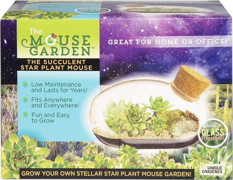 Grow Your Own Succulent Star Plant Mouse with Our Glass Terrarium Kit - Fun and Easy to Grow - Pl... | Amazon (US)