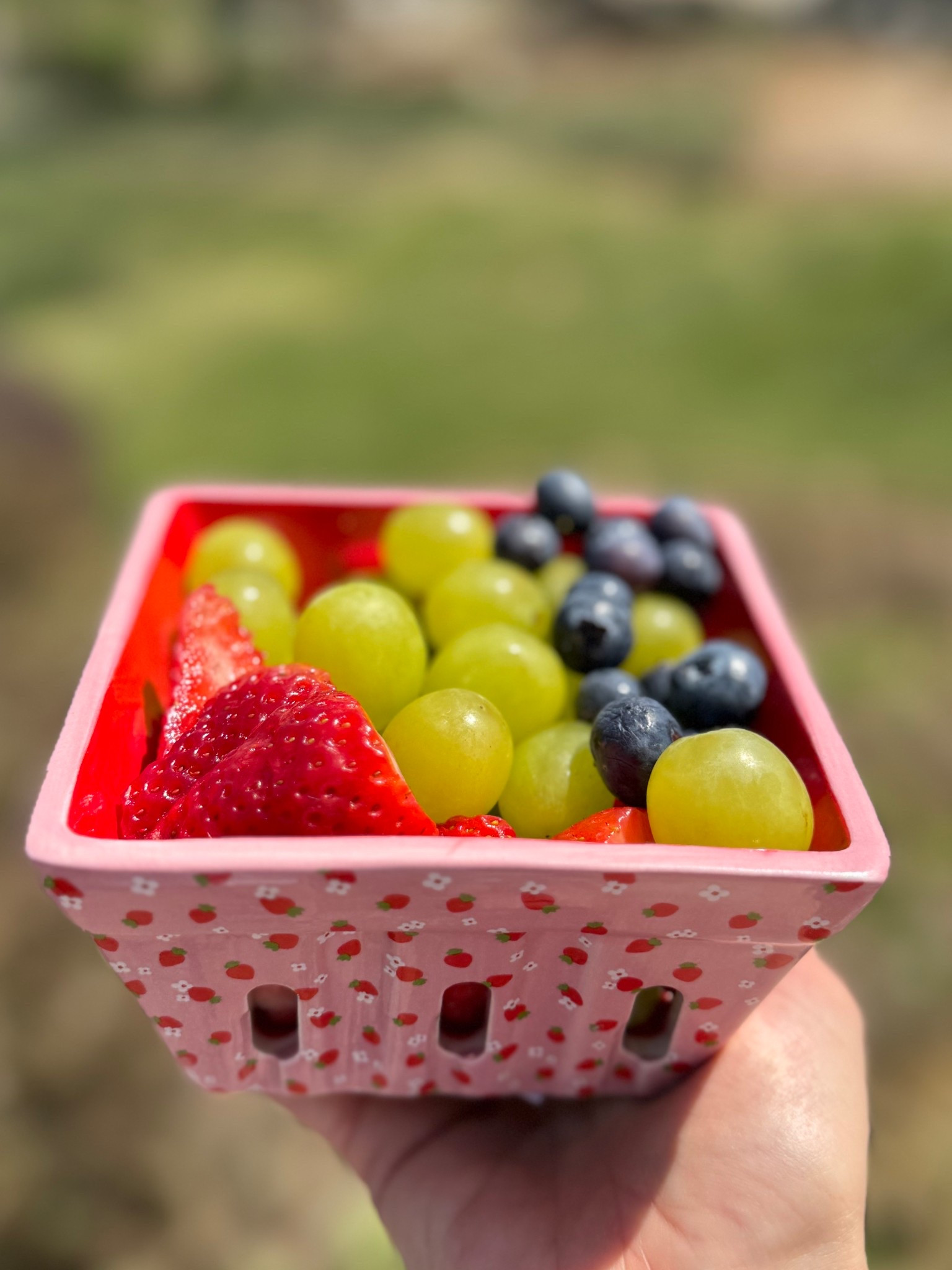 cutie berry baskets ftw!! 🍓🌼🫐

#LTKSeasonal #LTKU #LTKHome