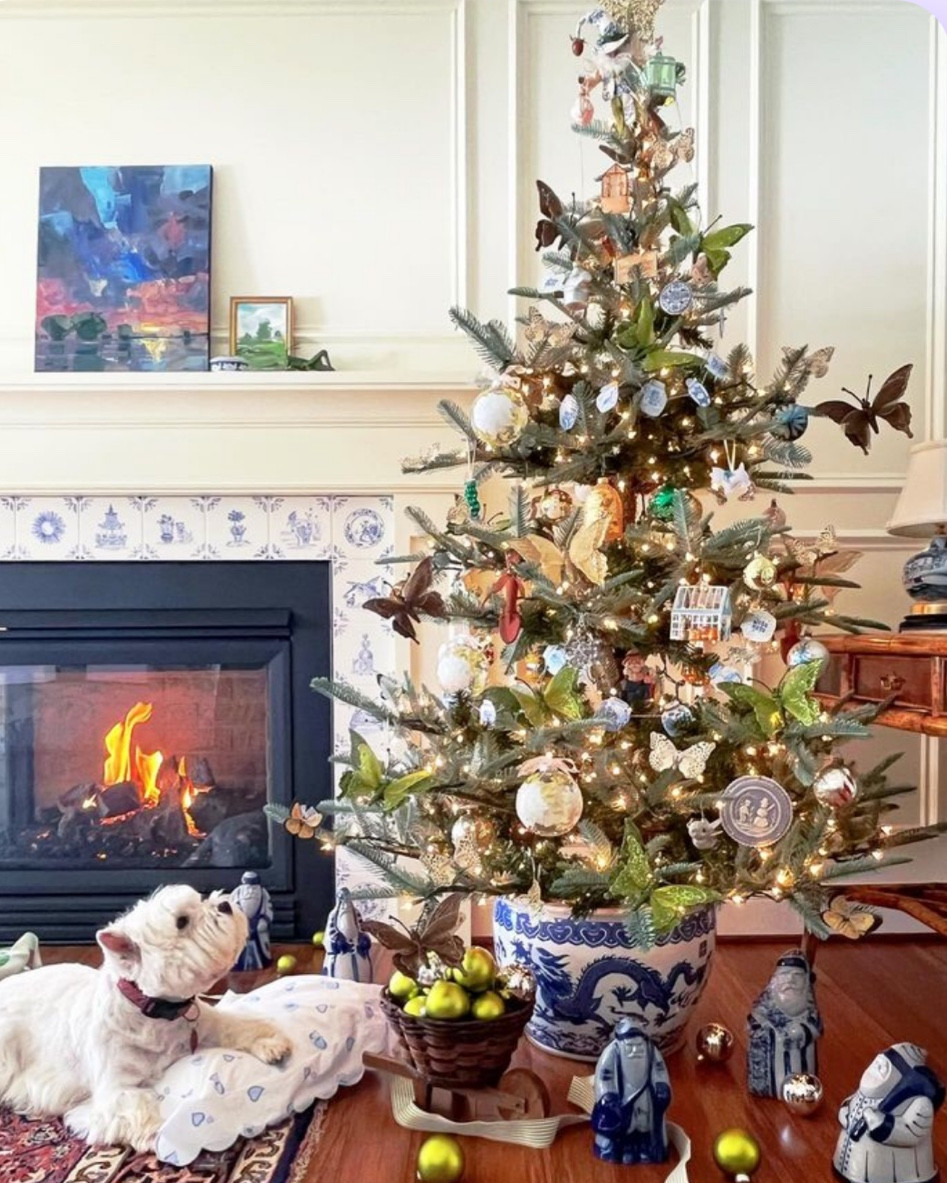 I know you’re thinking about Christmas!! Love the King of Christmas Noble Fir tree. Easy to style branches that don’t need a ton of ornaments to look fantastic. This one is a 6ft unlit that I put the lights on myself. It’s on sale doe $199! Prefer to have it ready to go? They make each size with or without lights!! Linking 6 and 8 feet options, or click in to view the other size options. 

#LTKSeasonal #LTKHome #LTKHoliday