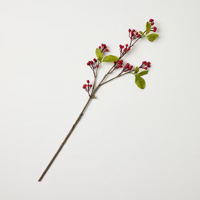 25" Red Berry Artificial Stem - Hearth & Hand™ with Magnolia | Target