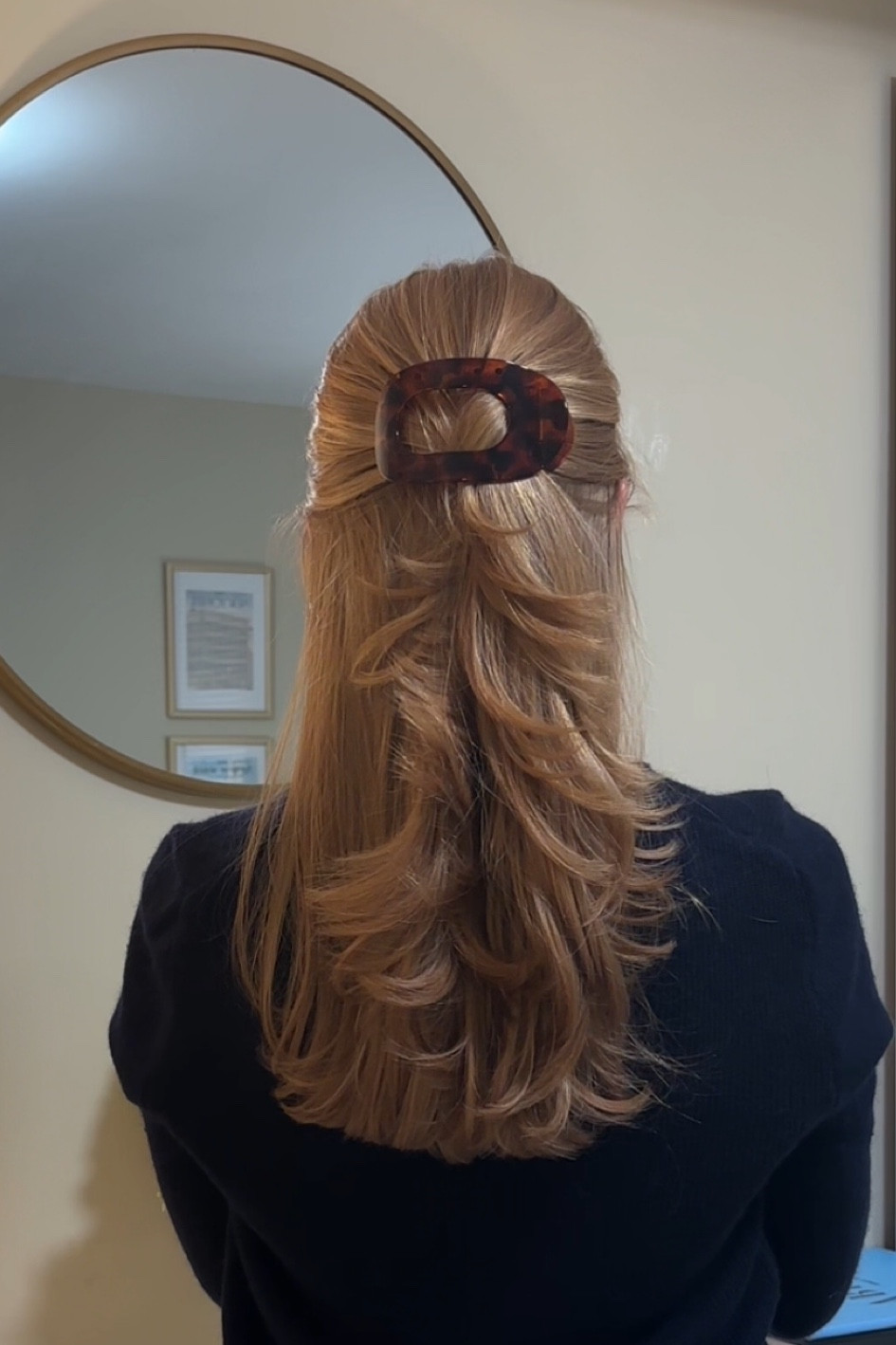 Viral flat claw clips
