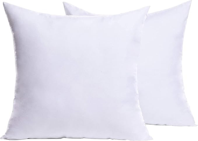 Cozy Bed Euro Throw Pillows Insert (Pack of 2, White), Euro Pillows 27 x 27 Inches, Bed Pillows f... | Amazon (US)