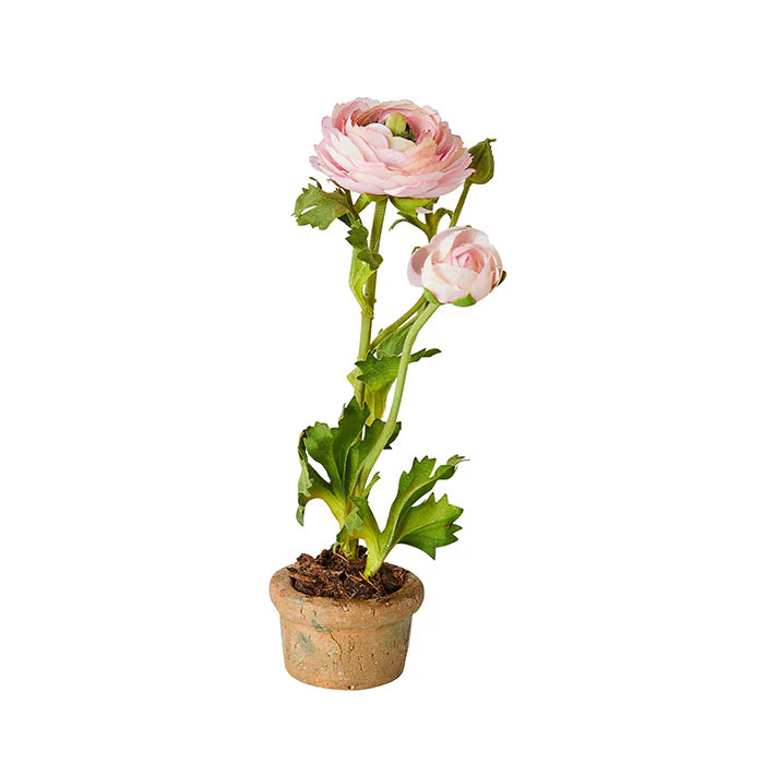 Mini Terracotta Ranunculus in Pink | Caitlin Wilson | Caitlin Wilson Design