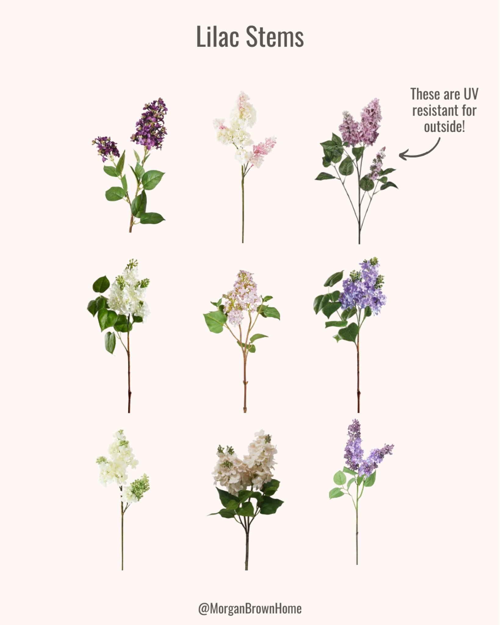 Lovely in Lilac! These gorgeous faux lilacs bring the perfect touch of Spring to any space — no watering required! #SpringDecor #FauxFlowers

#LTKSeasonal #LTKHome