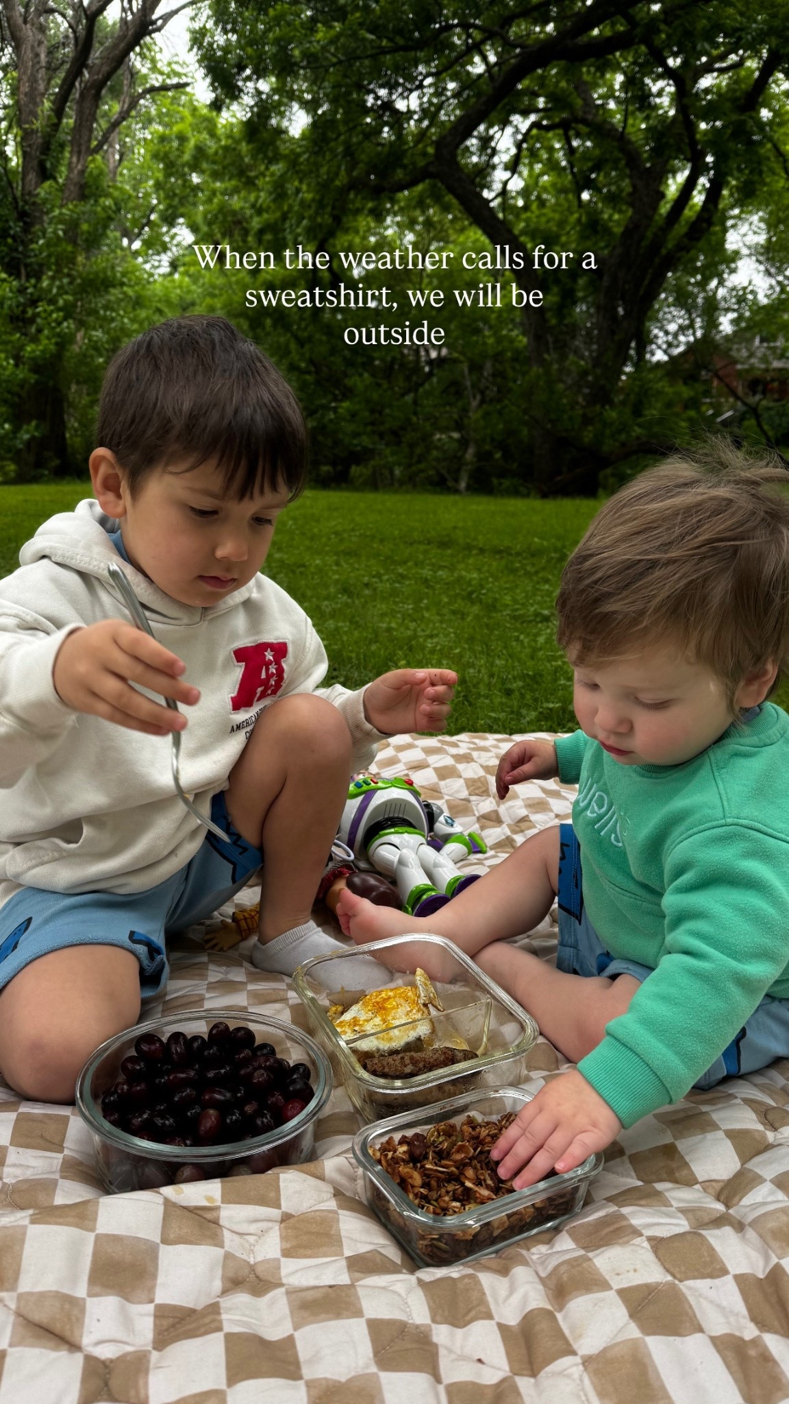 Picnic blanket 

#LTKBaby #LTKKids #LTKTravel