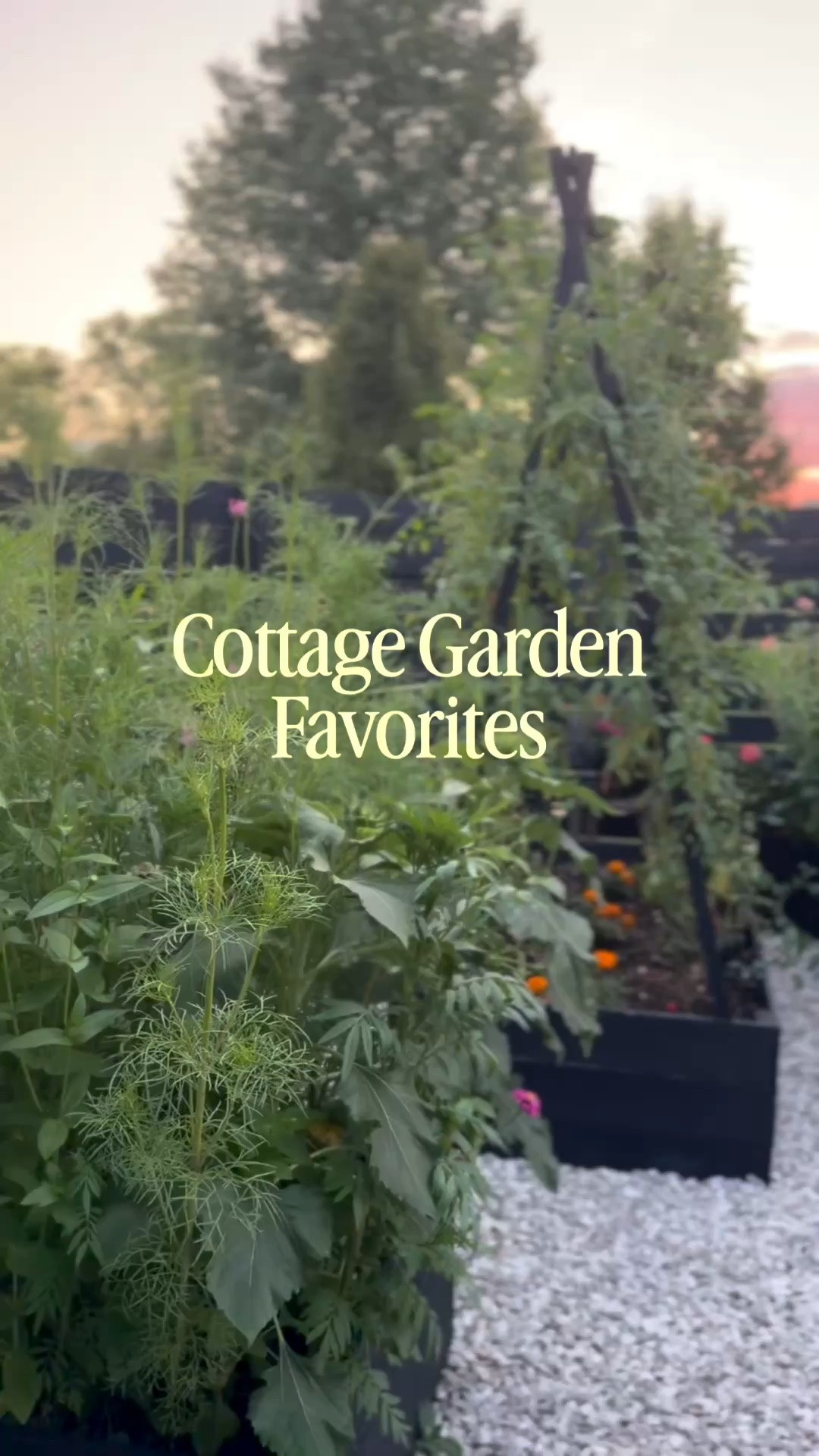 The garden links I get asked for over and over again… 🌿🤍

From the cucumber arch that transformed the way we grow cucumbers to my favorite tools, clips, and all the little finds that make our cottage garden come together—I’ve finally put them all in one place.

I hope this collection helps make your cottage garden a little more magical ✨

#LTKSeasonal #LTKHome #LTKSaleAlert