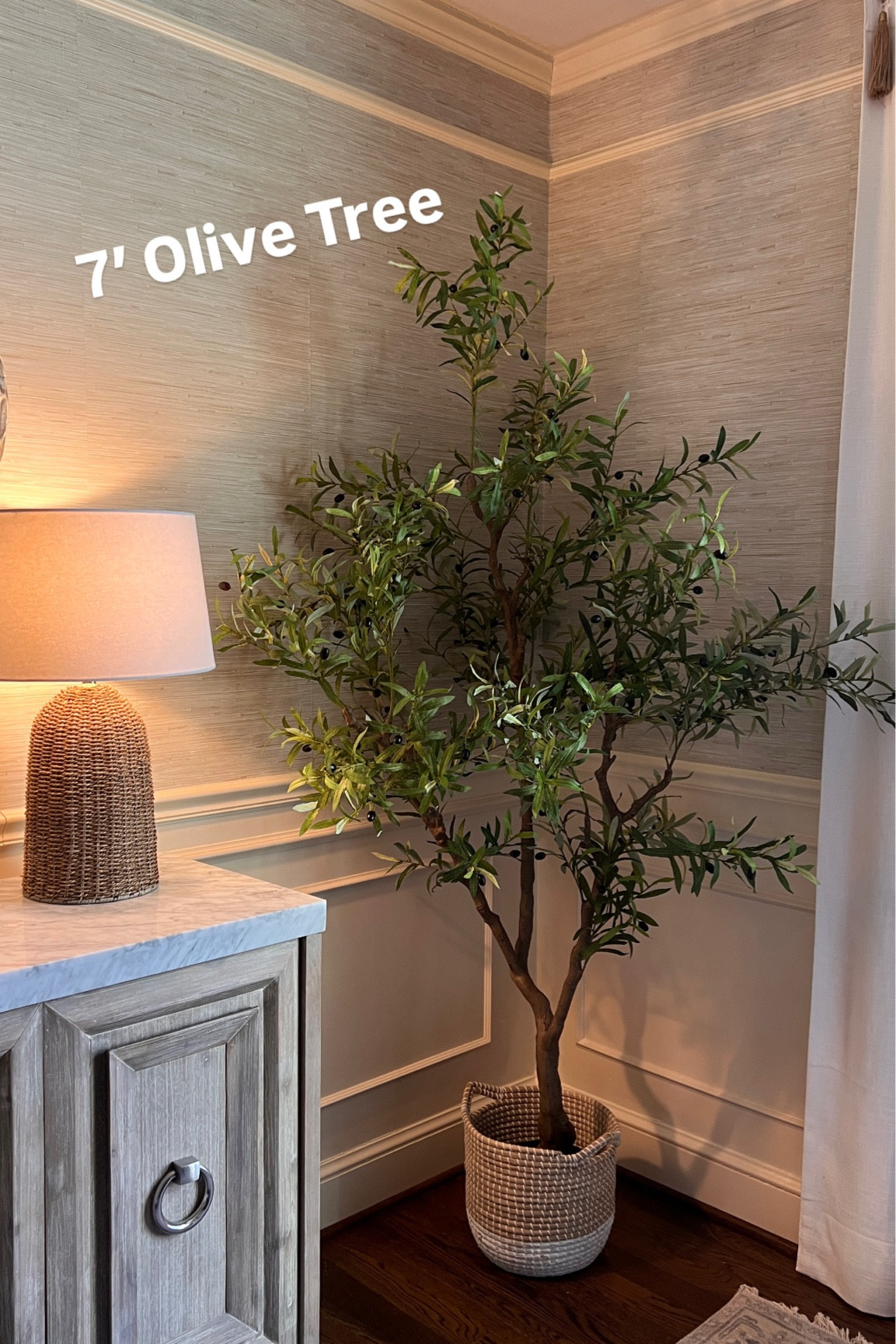 She’s beautiful and adds texture and life to your space with zero maintenance! Sign me up! 

#LTKFamily #LTKHome #LTKSeasonal
