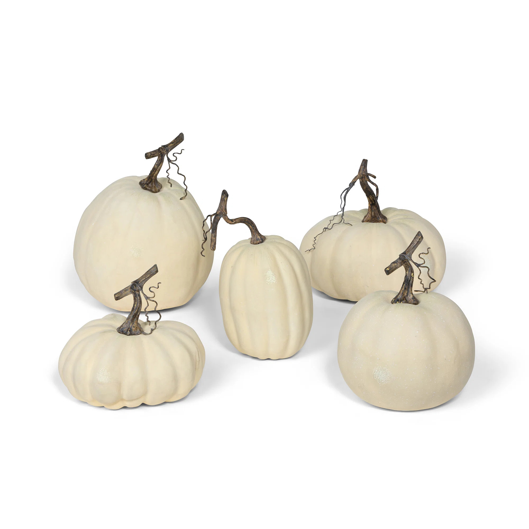 Full Moon Pumpkin Collection, Set Of 5 | Birch Lane