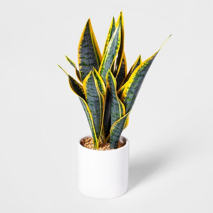 16.5" x 6" Artificial Snake Plant In Pot Green/White - Project 62™ | Target