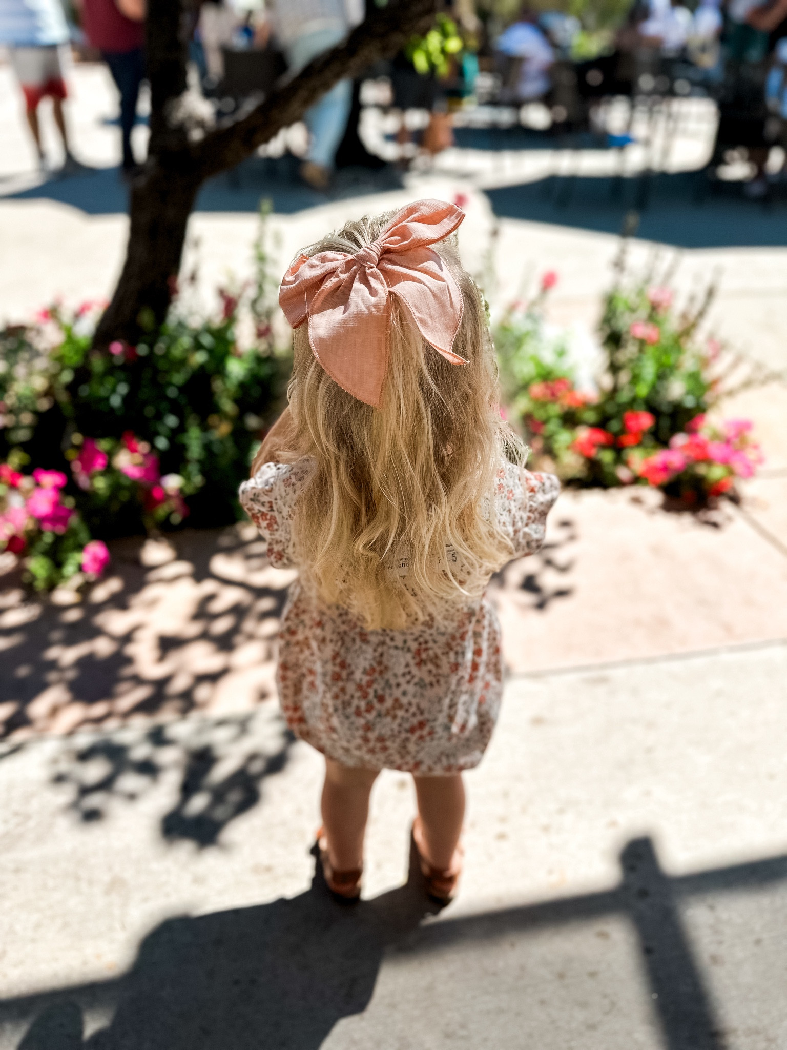 Just got this pack of ADORABLE little girl bows on Amazon & they way exceeded my expectations- $13 for 12 cute neutral bows!! Seriously I can’t believe the quality on them for the price! #amazonfinds #toddlergirlstyle #girlaccessories #girlhair #hairbows #toddlerfinds #toddlerhair #cutehairbows #amazonbows

#LTKBaby #LTKKids #LTKStyleTip