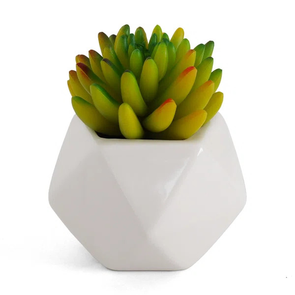 4.5'' Faux Succulent in Ceramic Planter | Wayfair North America