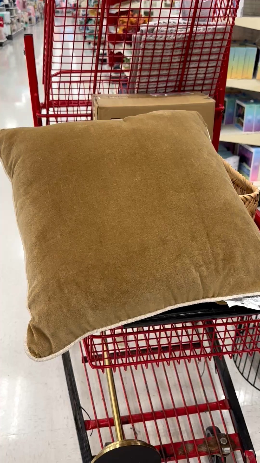 New! Velvety throw pillows perfect texture for fall! @Target sent

#LTKSeasonal #LTKHome #LTKdayinmylife