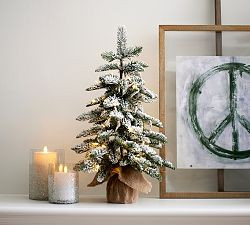 Lit Frosted Faux Pine Trees | Pottery Barn (US)