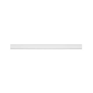Jeffrey Court Thassos White .75 in. x 12 in. Polished Marble Wall Pencil Tile (1 Linear Foot) 953... | The Home Depot