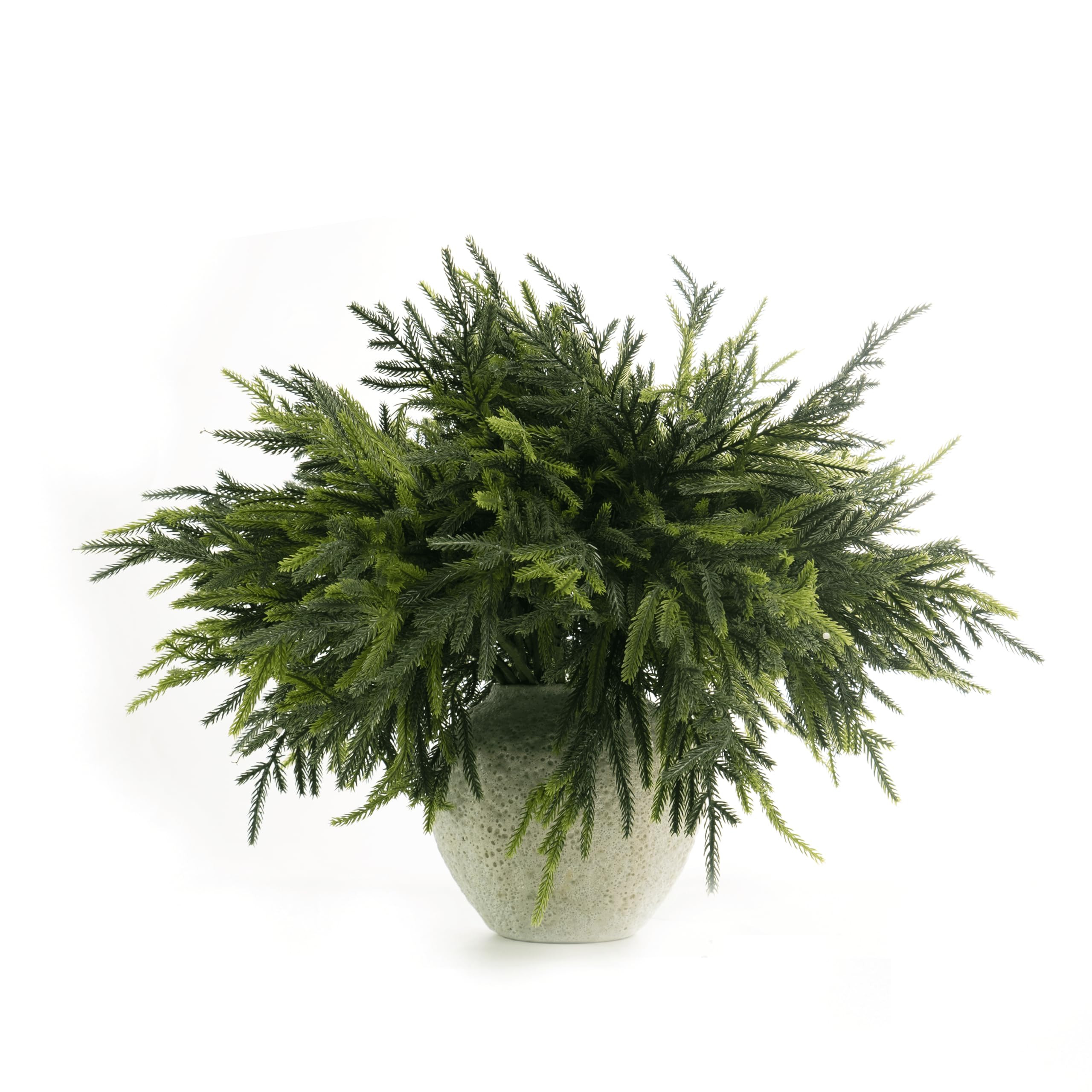 WHANLEY L&Q 20-Piece Set 23" Christmas Norfolk Pine Branches with Lights - Battery Operated Chris... | Amazon (US)