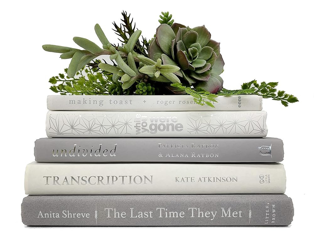 Bundle of White and Light Gray Decorative Books - Staging Books Color Bundle - Cream, Gray and Co... | Amazon (US)