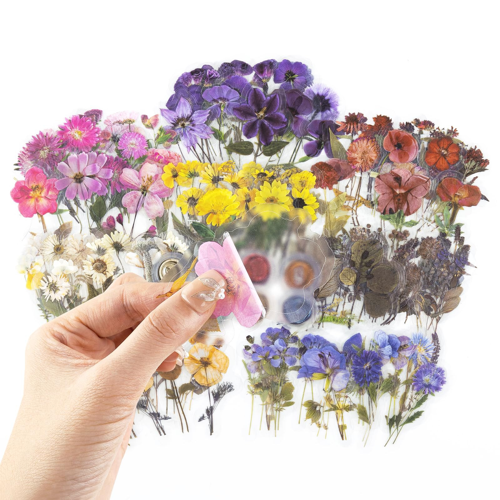 320PCS Pre-Cut Floral Sticker Set Flower Decal Journal Stickers PET Flower Stickers for Journalin... | Amazon (US)