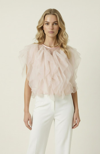 Modenaire Sheer Ruffled Tulle Blouse | Nordstrom | Nordstrom