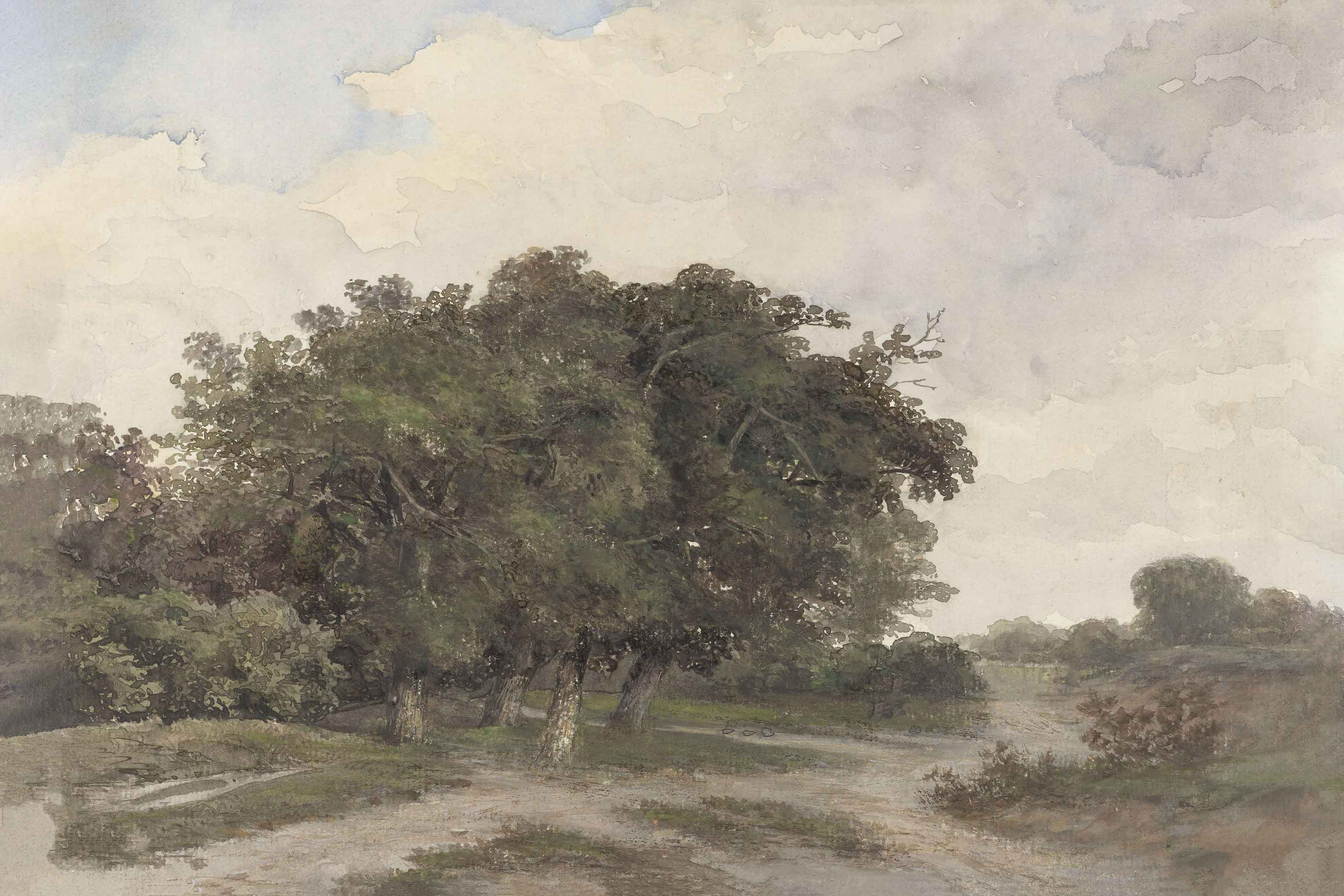 Countryside | Juniper Print Shop