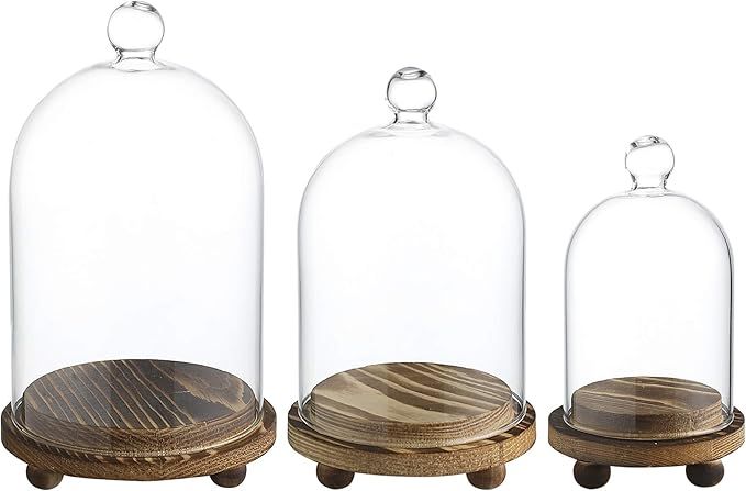 Whole Housewares Mini Glass Display Dome Cloche with Wood Base, Set of 3 | Amazon (US)