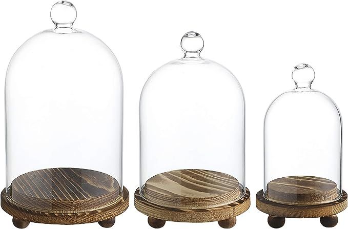 Whole Housewares Mini Glass Display Dome Cloche with Wood Base, Set of 3 | Amazon (US)