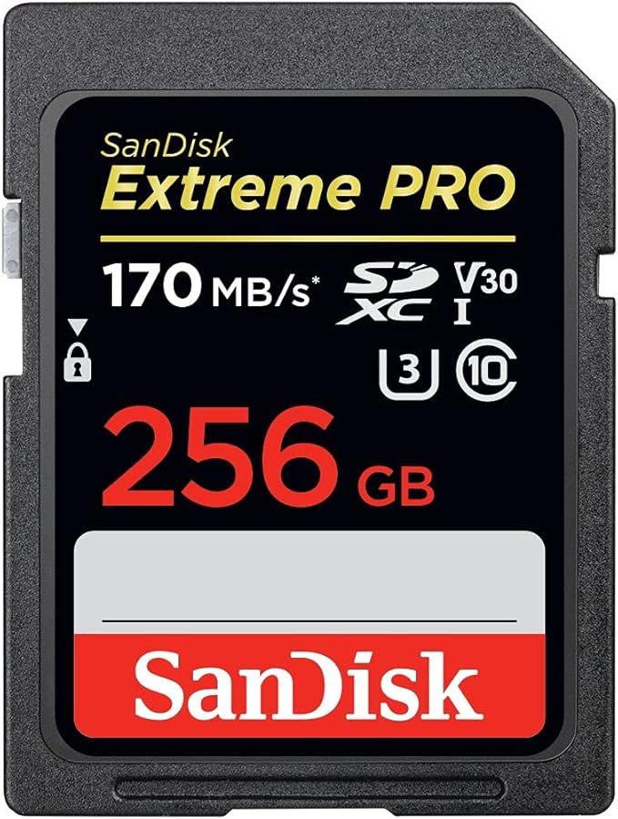 SanDisk 256GB Extreme PRO SDXC UHS-I Card - C10, U3, V30, 4K UHD, SD Card - SDSDXXY-256G-GN4IN | Amazon (US)