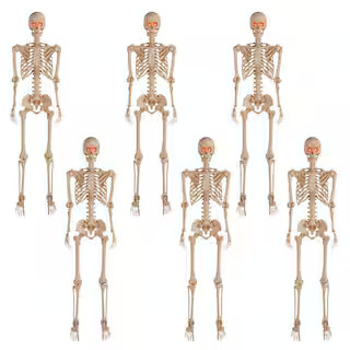 6-Pack 5 ft. Grave & Bones Poseable Skeleton | The Home Depot