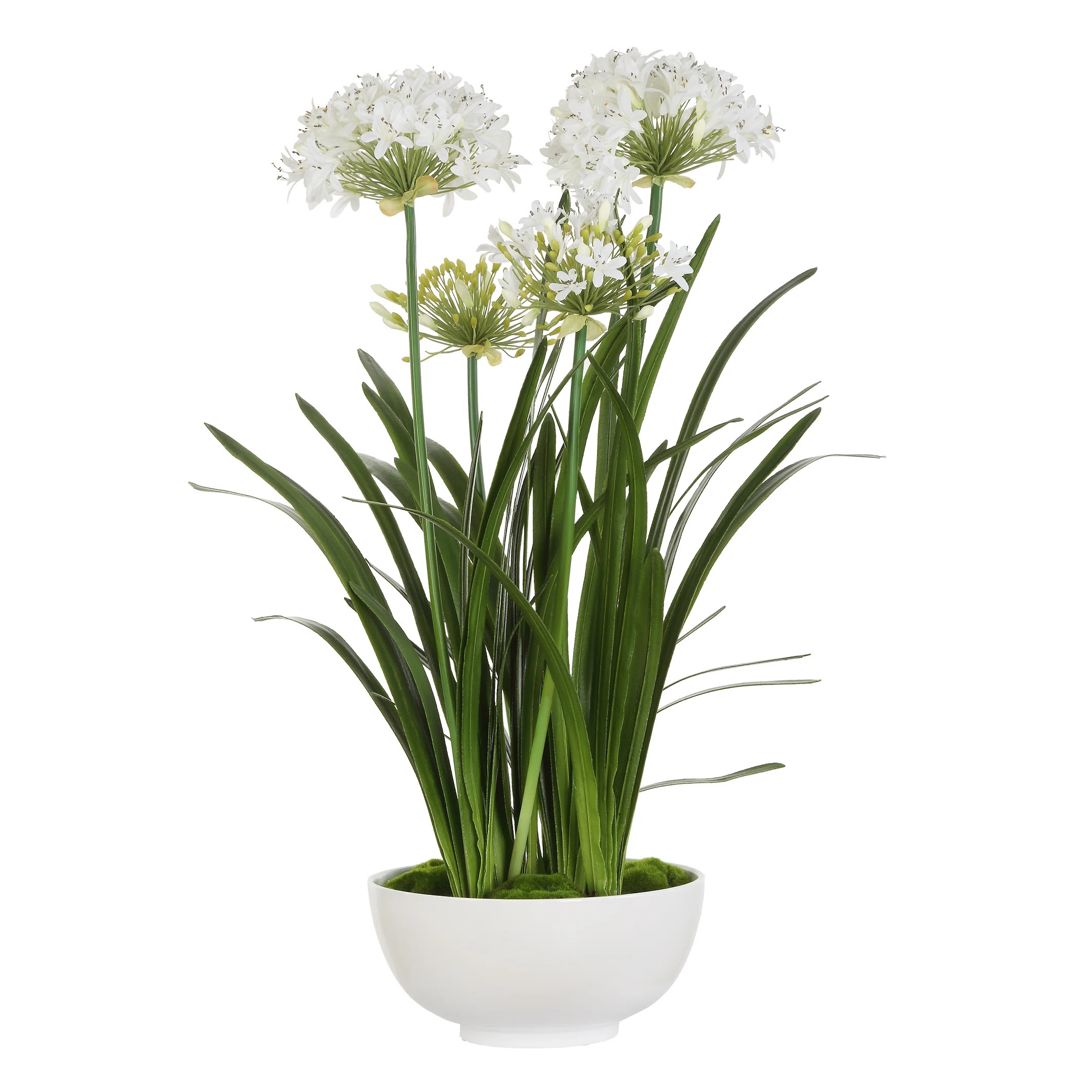 Primrue Purity Agapanthus Centerpiece | Wayfair | Wayfair North America