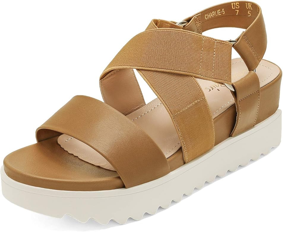 DREAM PAIRS Women’s Open Toe Ankle Strap Platform Wedge Sandals | Amazon (US)