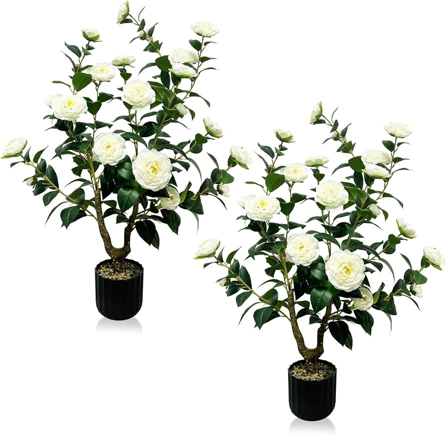 Tall Artificial 2Pack White Camellia Tree Potted Bushes UV Resistant Potted Plants for Indoor Out... | Amazon (US)