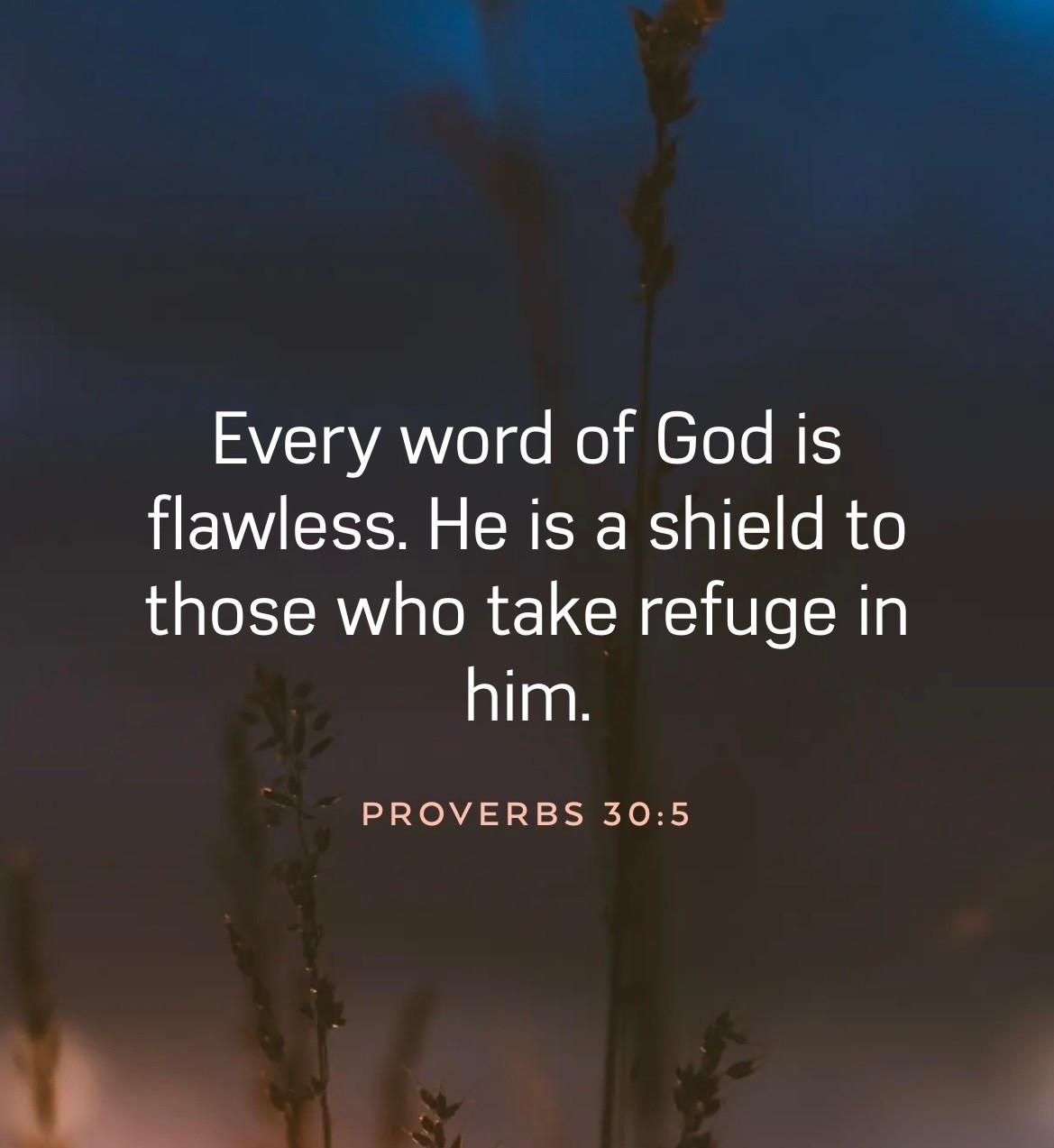 Faith is Life✝️

#LTKselfcare #LTKmomlife #LTKdayinmylife