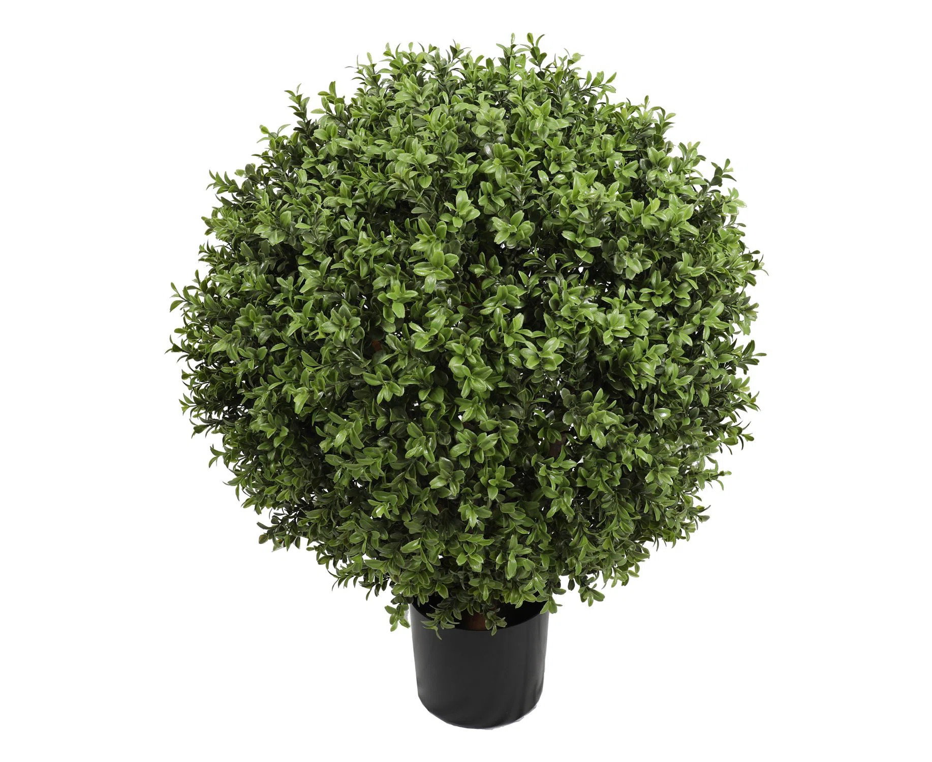Primrue UV-Proof Outdoor Artificial Boxwood Topiary Ball W/Pot -Green & Reviews | Wayfair | Wayfair North America