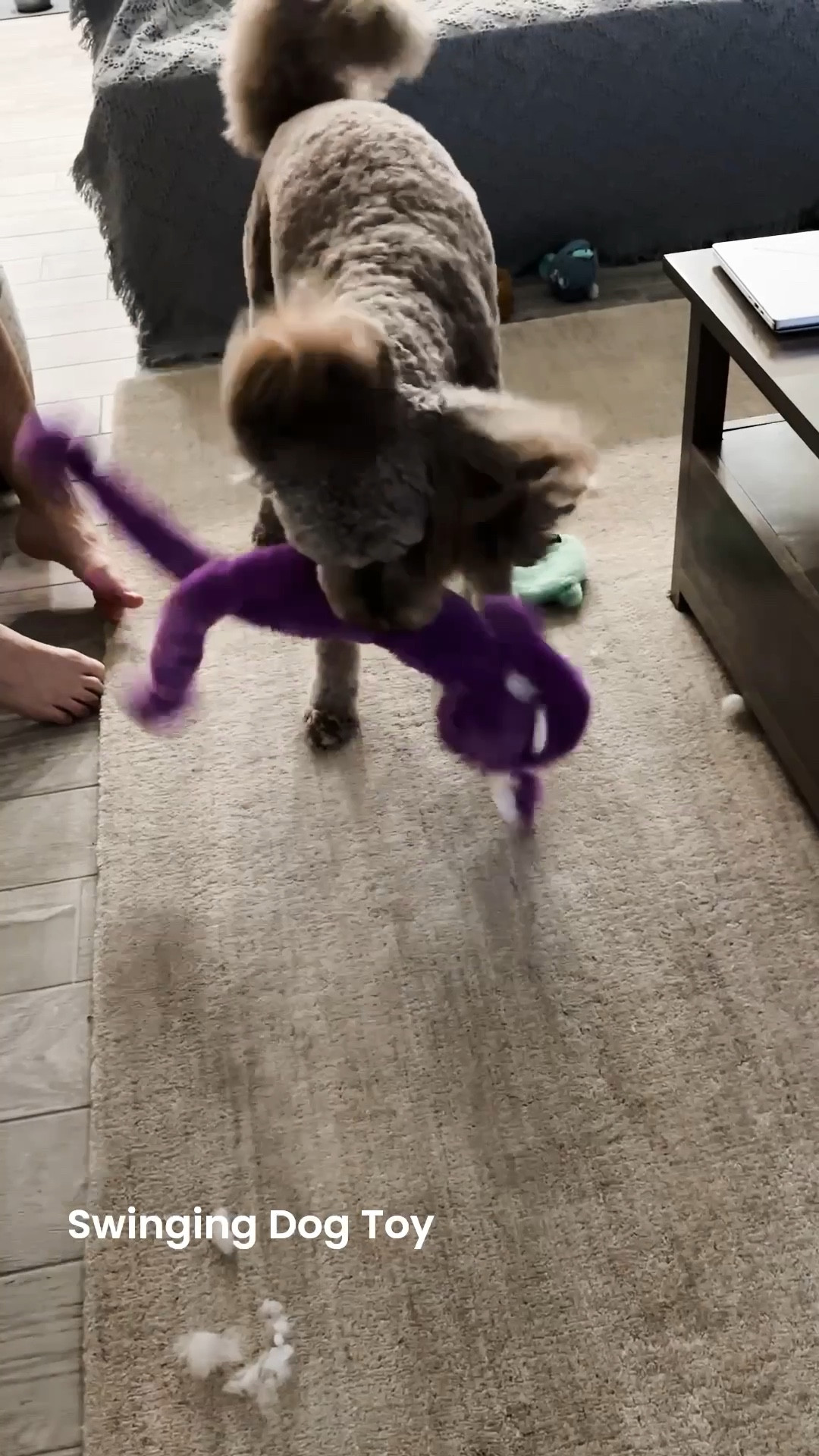 Murph loves these swinging dog toys. I don’t love all the fluff snow that gets everywhere 😅🫤