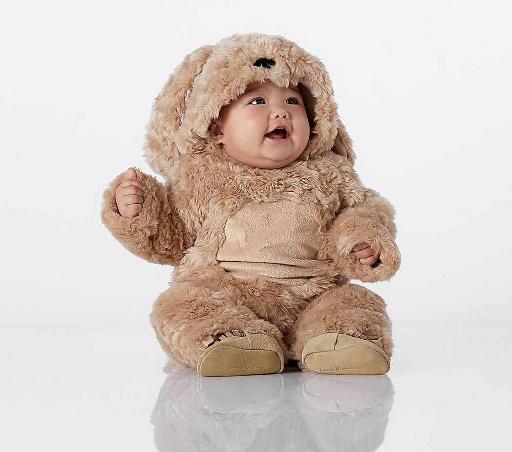 Dog Baby Costume 0-6 Months | Pottery Barn Kids