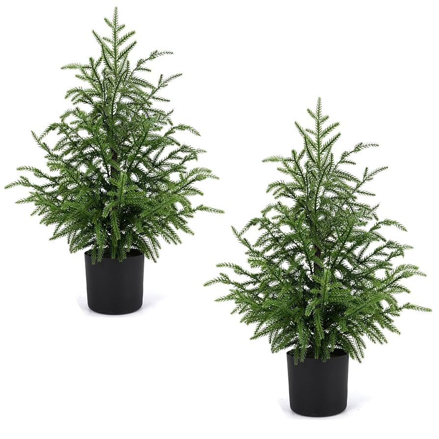 2 Pack 24" Artificial Norfolk Pine Potted Trees – Realistic Faux Christmas Greenery for Tableto... | Amazon (US)