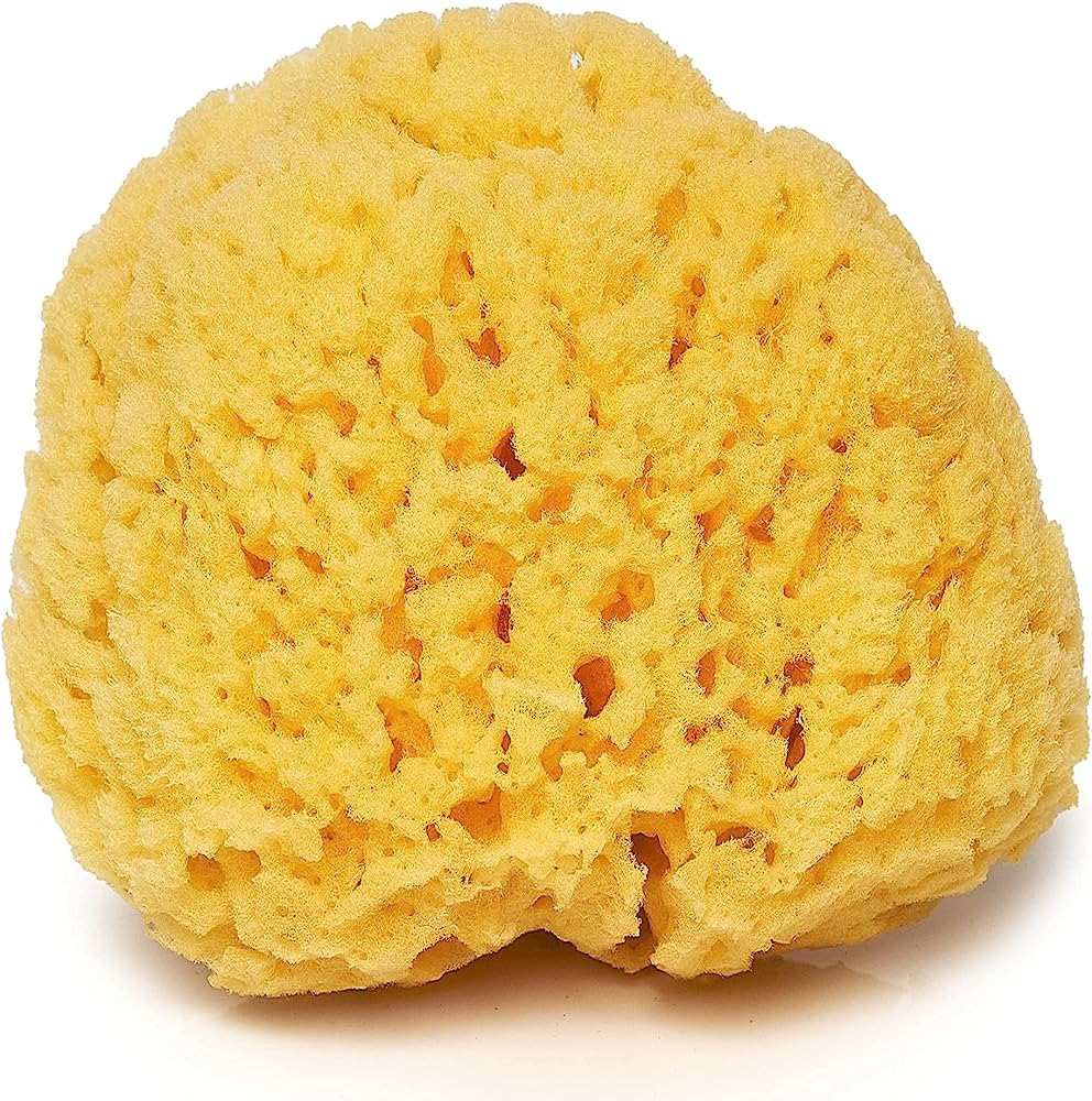 Sea Sponge for Bathing 5 inch-Softly Rough but Not Skin Irritating – Yellow, Natural Bath Spong... | Amazon (US)