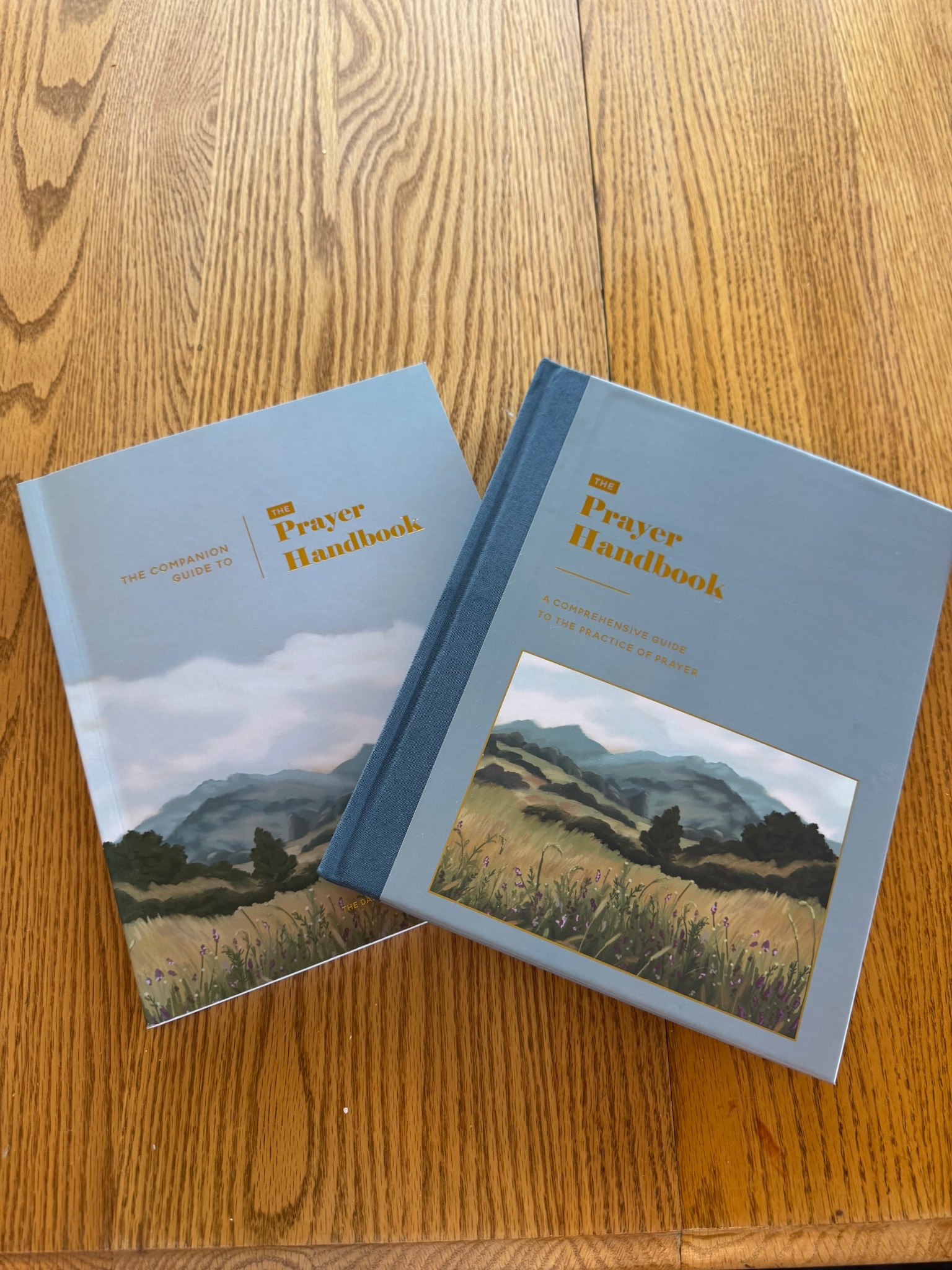 Growing my faith through deep diving into prayer 

#LTKHoliday #LTKFamily #LTKSeasonal