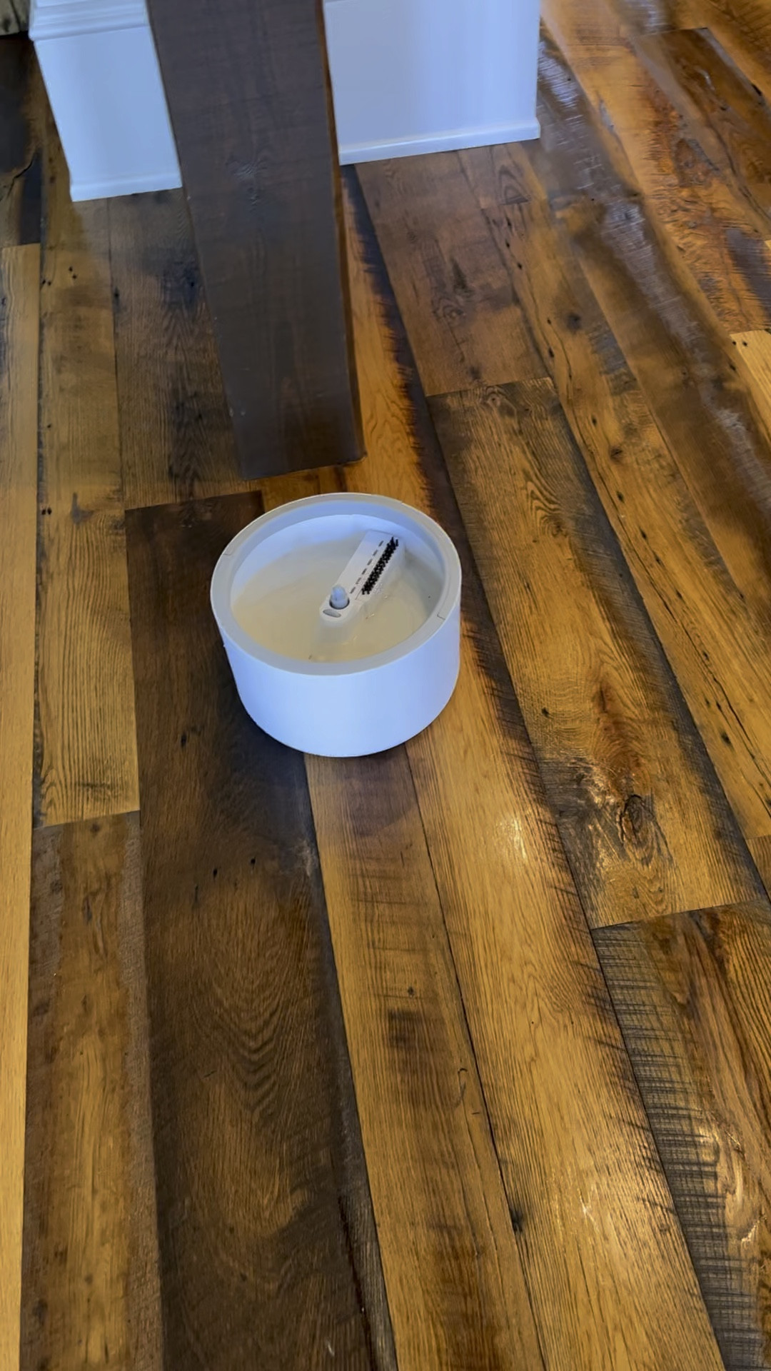 I am loving this mop so much!!!

#LTKhome #LTKVideo #LTKfindsunder100