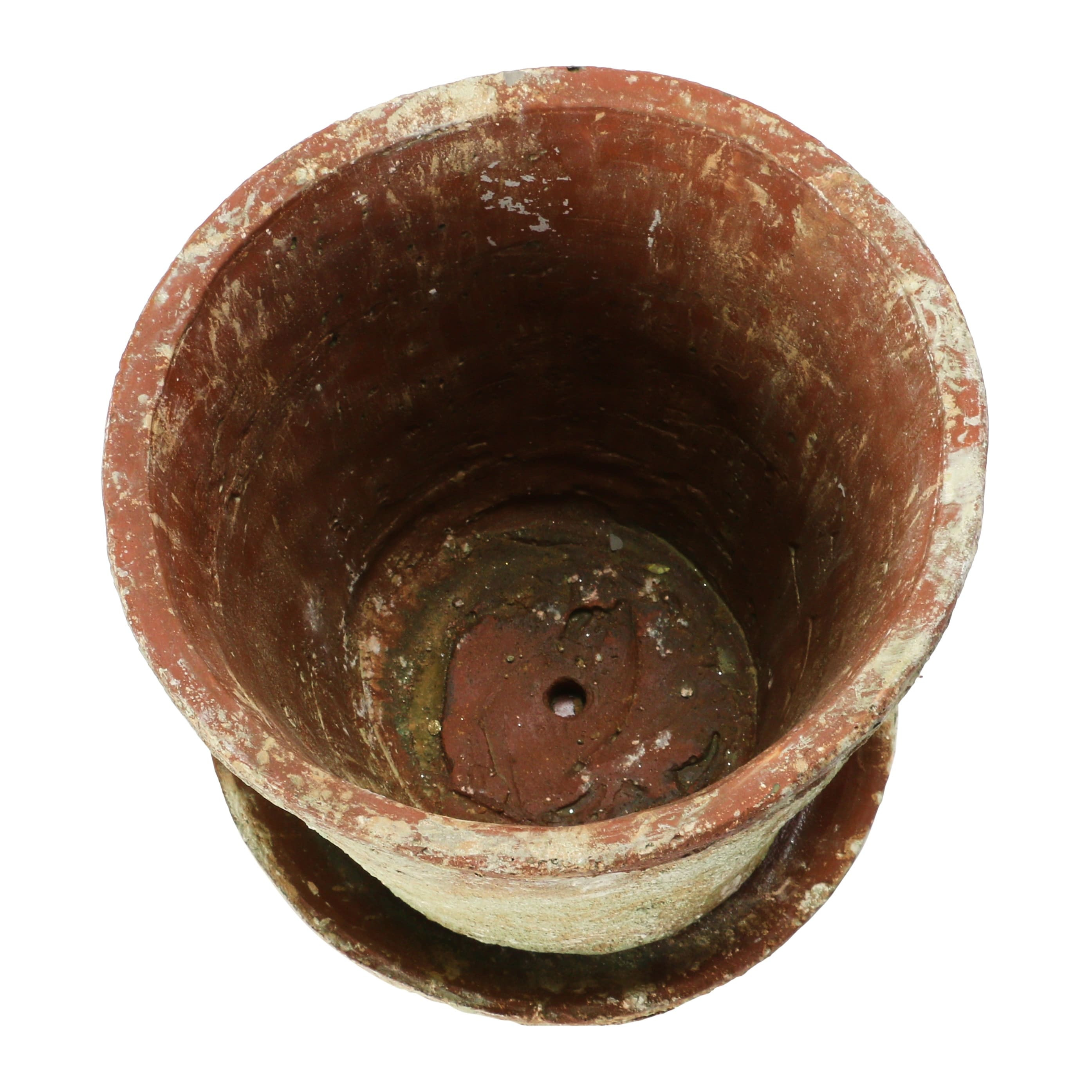 Cement Planter with Saucer, Distressed Terra-cotta Finish | Bed Bath & Beyond