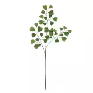 Green Ficus Stem by Ashland® | Michaels Stores