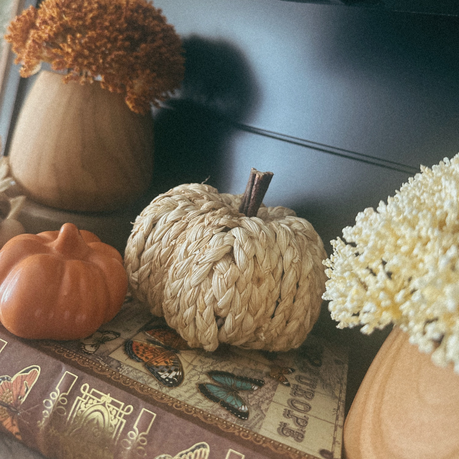 The perfect boho pumpkin filler 🎃

#LTKHome #LTKFallSale #LTKSeasonal