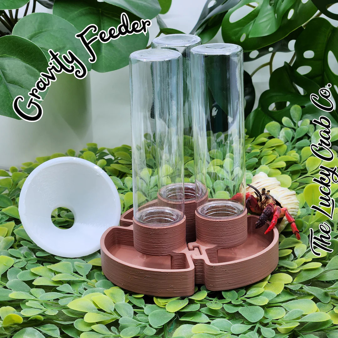 Hermit Crab Gravity Feeder: 3-section Food Dispenser and Vacation Feeder - Etsy | Etsy (US)