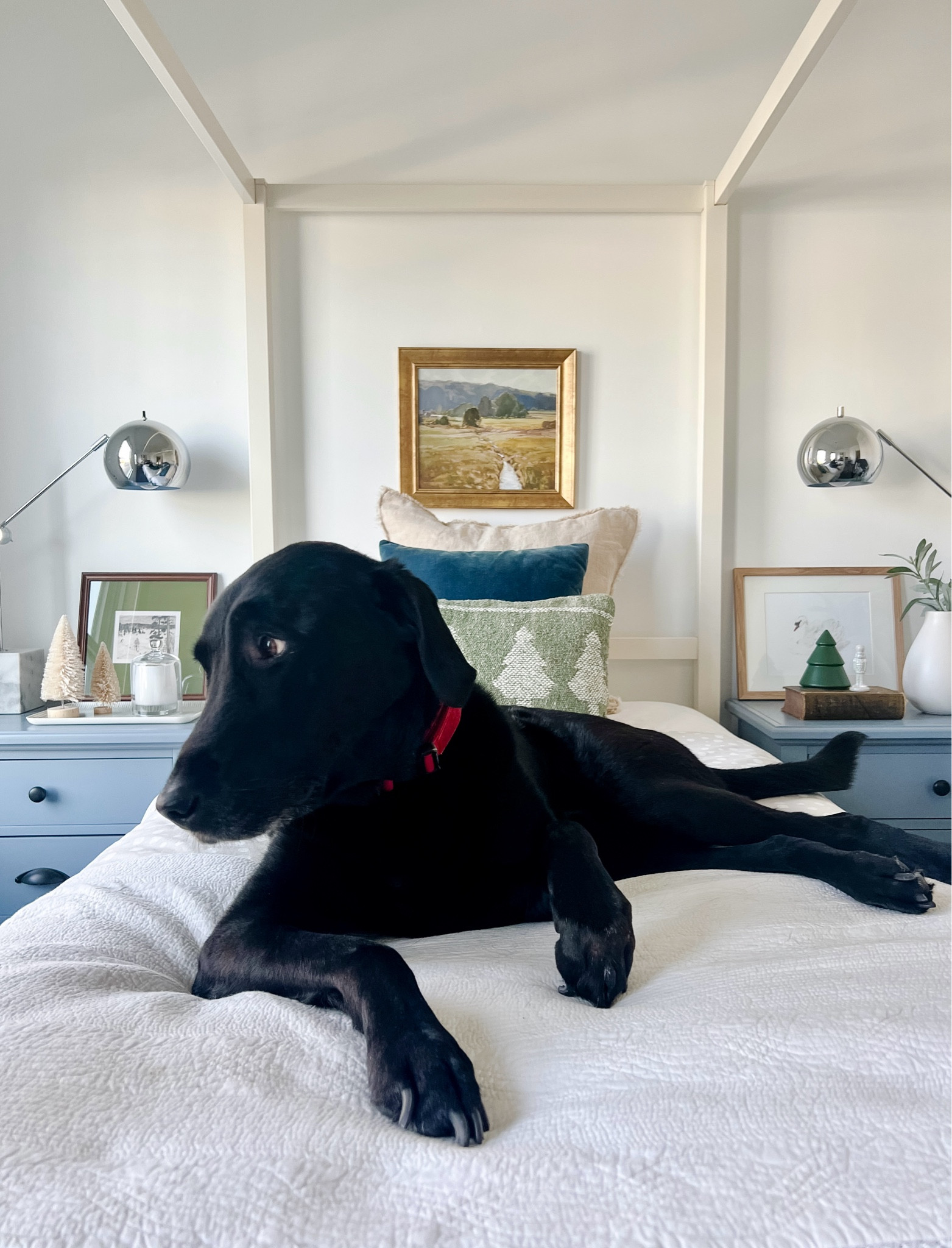 I don’t always clean baseboards, but when I do… someone claims the freshly fluffed bed like they’re starring in a holiday catalog. Stay humble, Henry.

Of course, all that effort would be incomplete without these cozy holiday accents to really set the mood. From seasonal textiles to festive details, these pieces bring the season to life (and make baseboard cleaning feel worth it).

#HolidayDecor #ChristmasVibes #FestiveHome #DogInTheBed #CozyChristmas #HomeStyle #InteriorDecor #CleanBaseboards #HolidaySeason #EffortlessHomeStyle

#LTKHoliday #LTKSeasonal #LTKHome