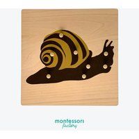 Parts Of A Snail Montessori Wood Puzzle Biology Insects Cabinet Ladybug Butterfly Wasp Fly Dragonfly | Etsy (US)