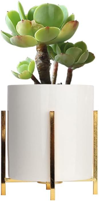 SIEBOLD Ceramic Plant Pot with Gold Stand, Modern White Plants Pot Cylinder Planter with Heavy Du... | Amazon (CA)