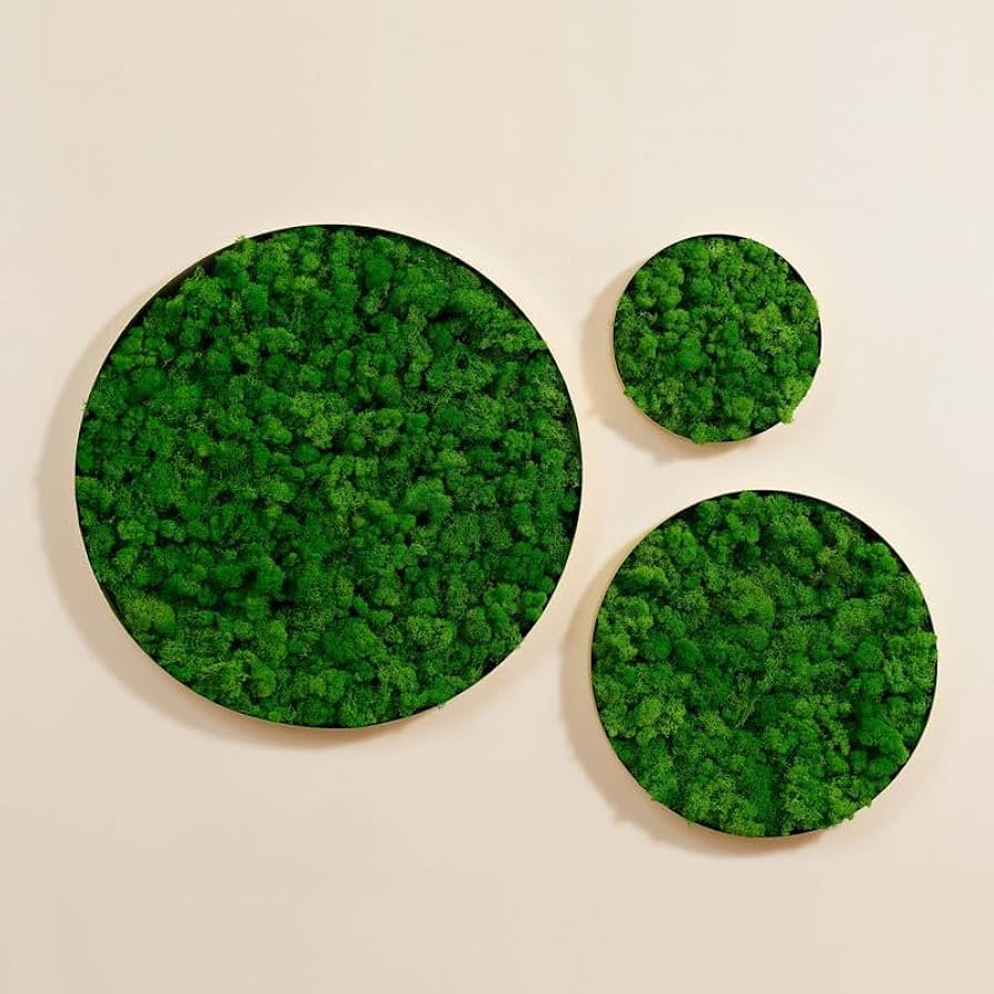 Fiseises Moss Wall Art, Unique Wall Panel for Indoor Spaces, Round metal frame Moss Wall Décor, Natural Green Wall Art, maintenance free vertical garden, real moss (Green-Small pc) | Amazon (US)
