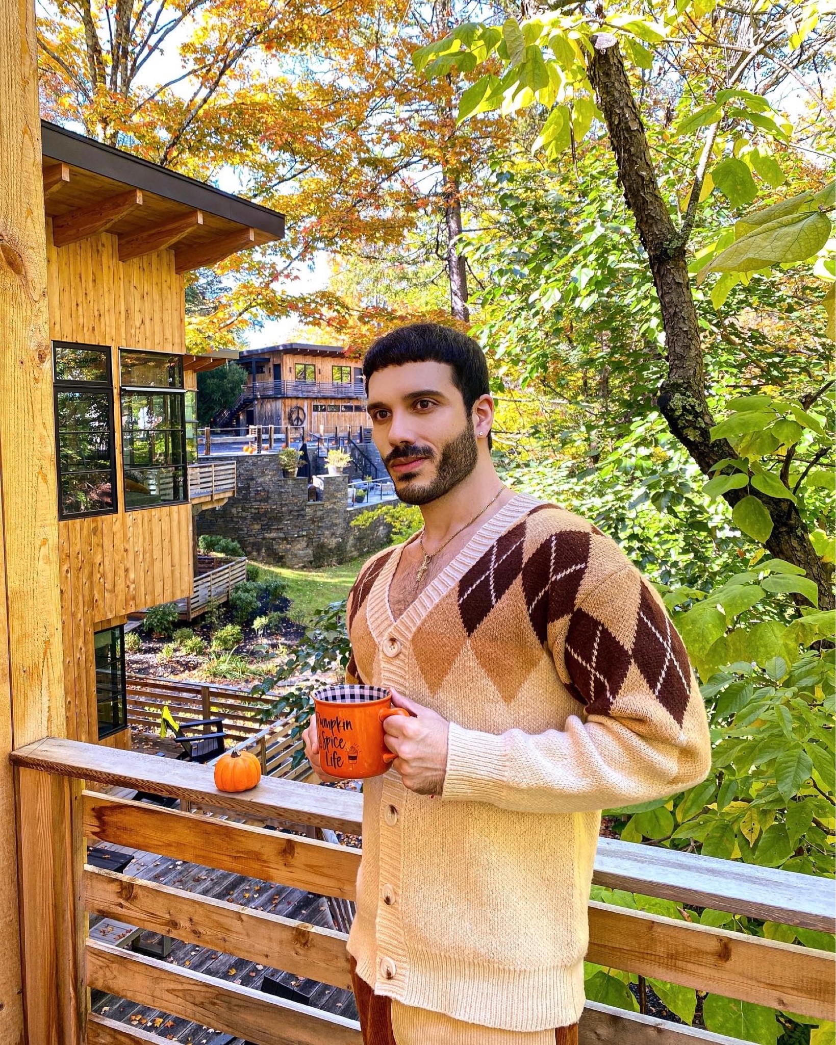 Autumn Outfit For Men / Fall Look / Argyle Sweater / Fall Style / Autumn Look

#LTKunder50 #LTKmens #LTKSeasonal