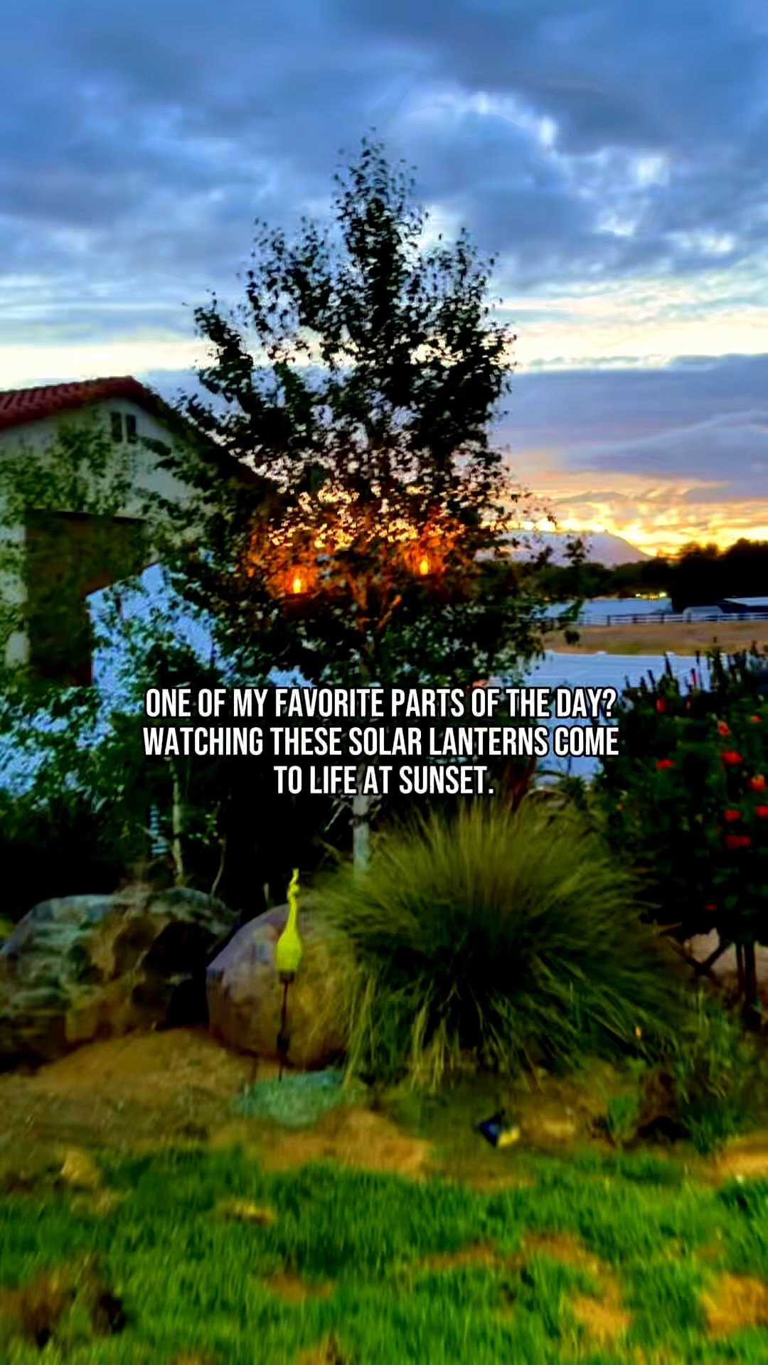 I don’t know about you, but I’m a visual person… and seeing these lanterns light up at sunset instantly makes my backyard feel more peaceful. ✨

Solar powered, automatic at dusk, and the flickering glow is beautiful through the trees. One of those simple little things that makes me slow down and enjoy the moment.

Make sure you check for coupons. Don’t take my word for it… check out the reviews below.

#backyardvibes #solarlights #gardeninspiration #outdoorliving #backyardgoals
