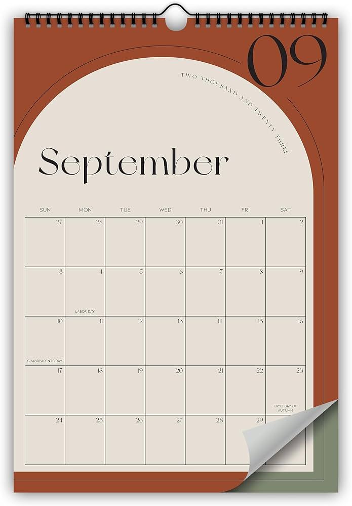 Aesthetic Minimalist Wall Calendar - Runs From January 2023 Until July 2024 - The Perfect Vertical Monthly Calendar With for Easy Planning | Amazon (US)